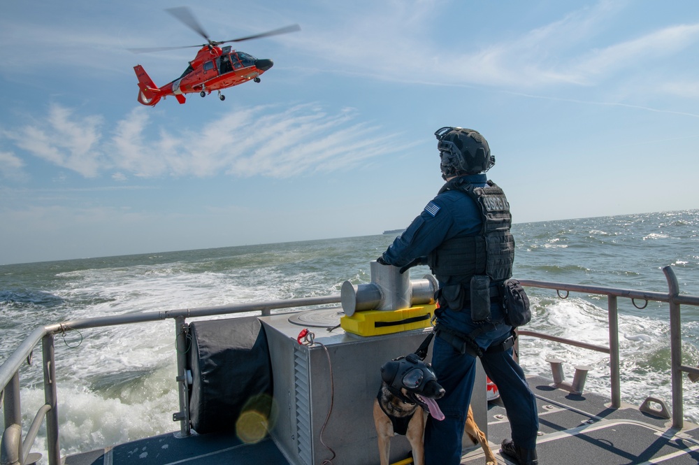 Coast Guard K9 Simba Helicopter to Boat Hoist