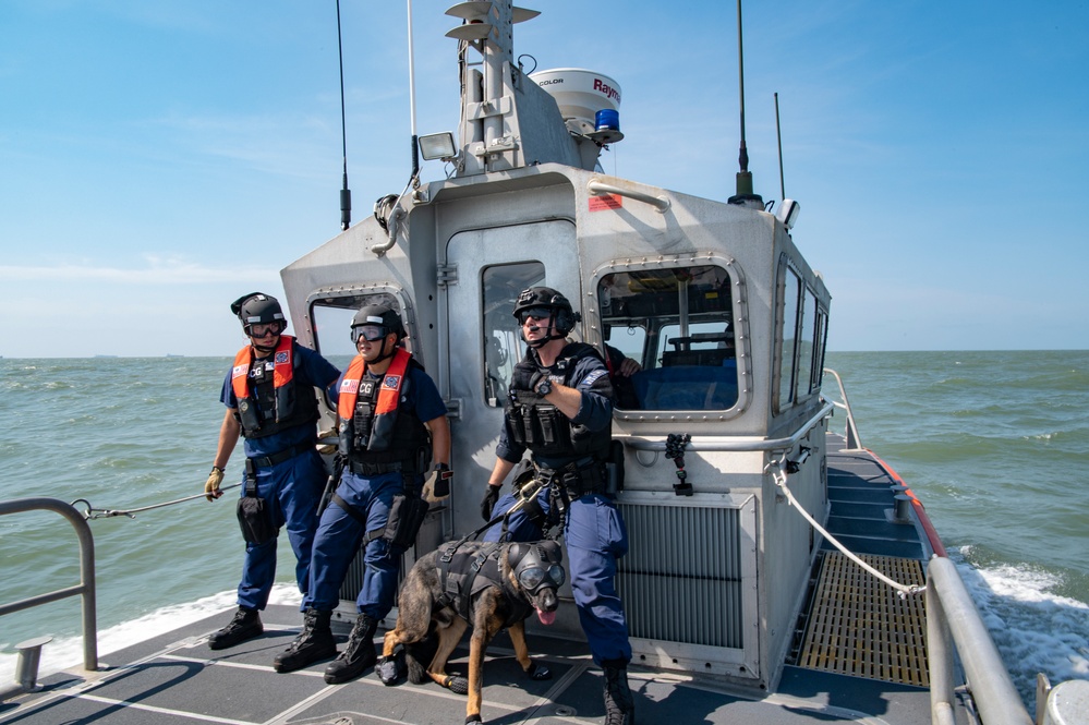 Coast Guard K9 Simba Helicopter to Boat Hoist