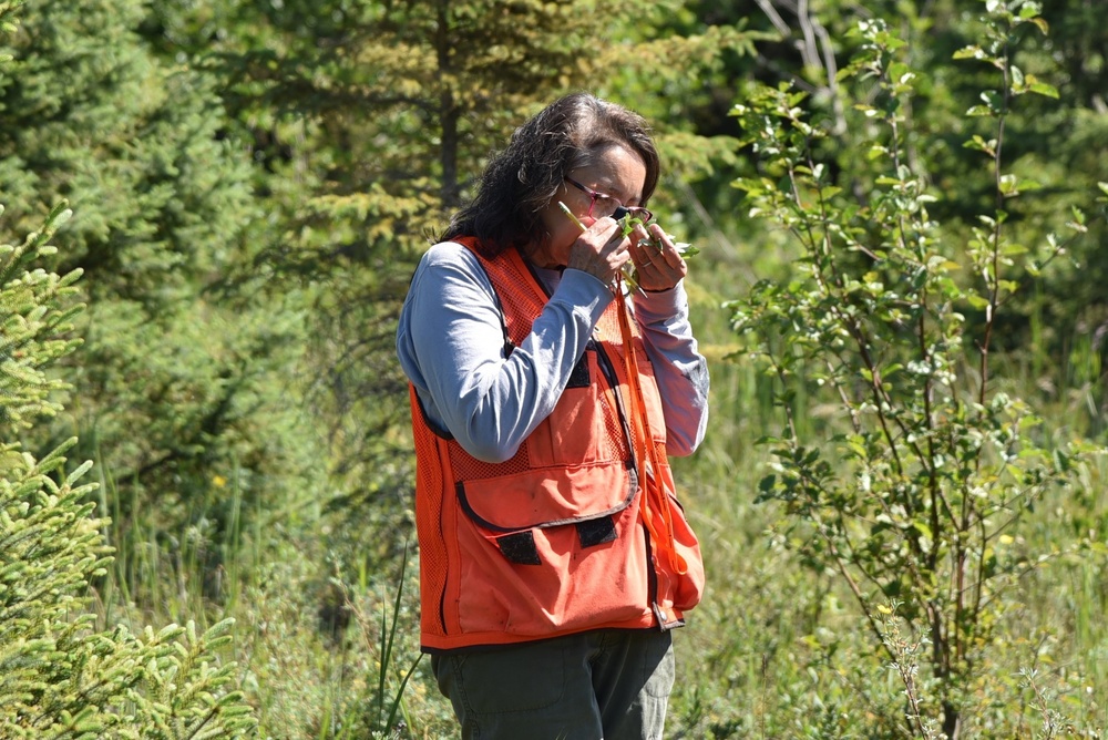 USACE Alaska District's Regulatory Division Conducts Wetlands Training