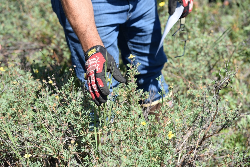 USACE Alaska District's Regulatory Division Conducts Wetlands Training