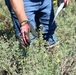 USACE Alaska District's Regulatory Division Conducts Wetlands Training