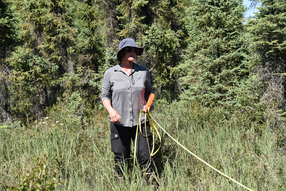 USACE Alaska District's Regulatory Division Conducts Wetlands Training