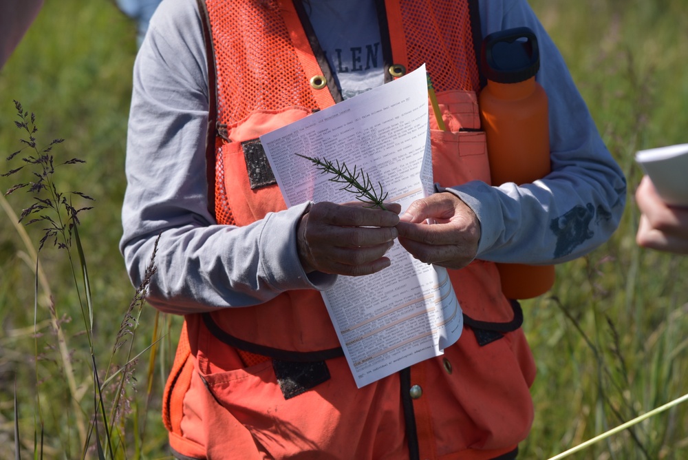 USACE Alaska District's Regulatory Division Conducts Wetlands Training