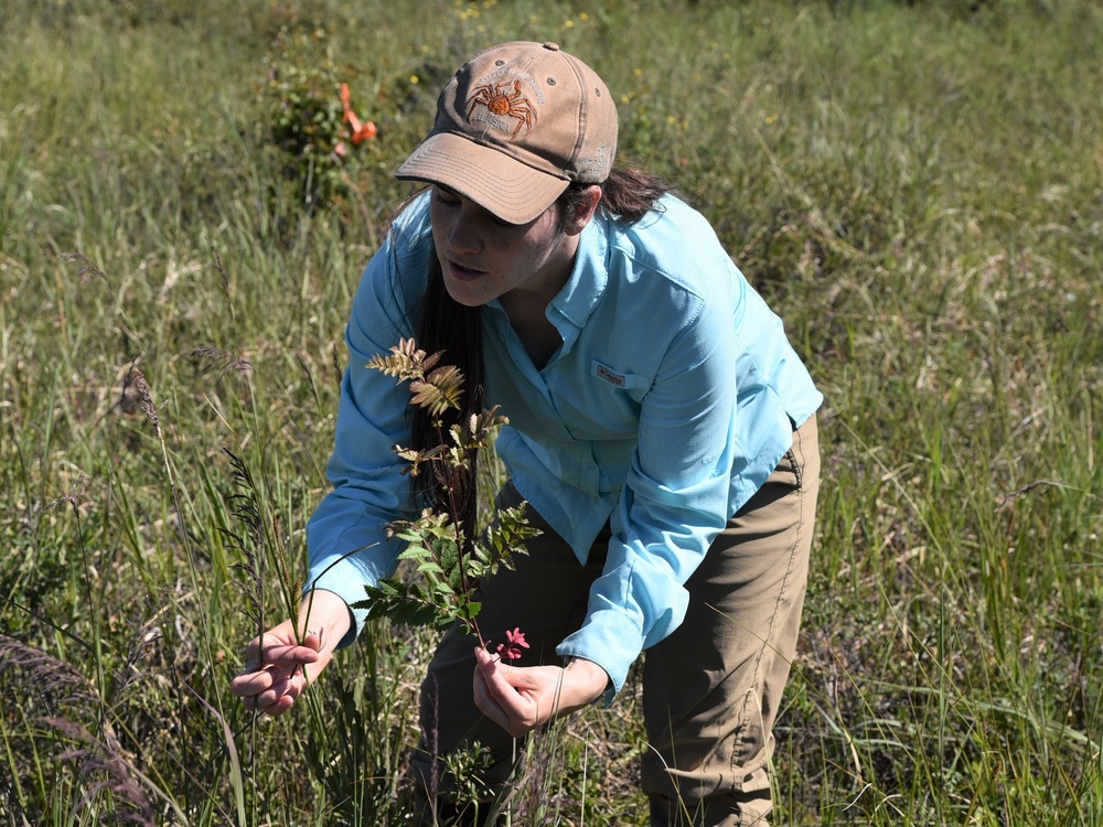 USACE Alaska District's Regulatory Division Conducts Wetlands Training