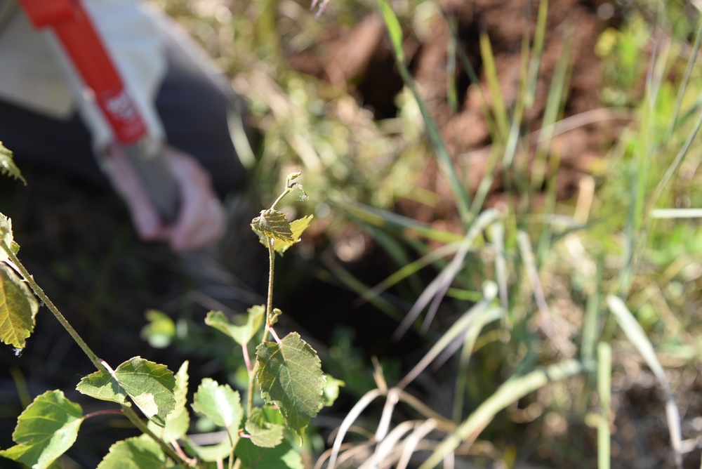 USACE Alaska District's Regulatory Division Conducts Wetlands Training