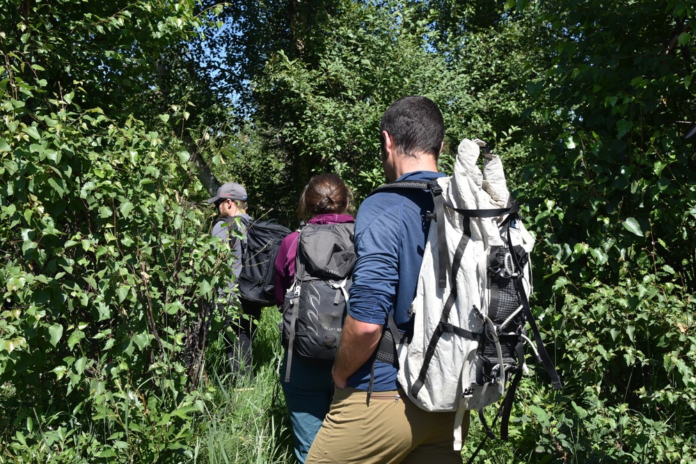 USACE Alaska District's Regulatory Division Conducts Wetlands Training