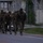 Headquarters Battalion Conditioning Hike A group of military personnel in camouflage uniforms and full combat gear are conducting a road march along a paved road near a fenced military installation. The soldiers are carrying large rucksacks and appear to be in formation, moving in the same direction. The setting appears to be a military base, likely in Asia based on architectural elements visible in the background.