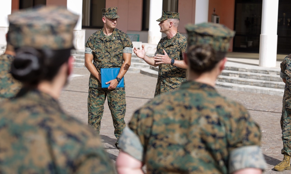 Task Force 61/2 promotion ceremony