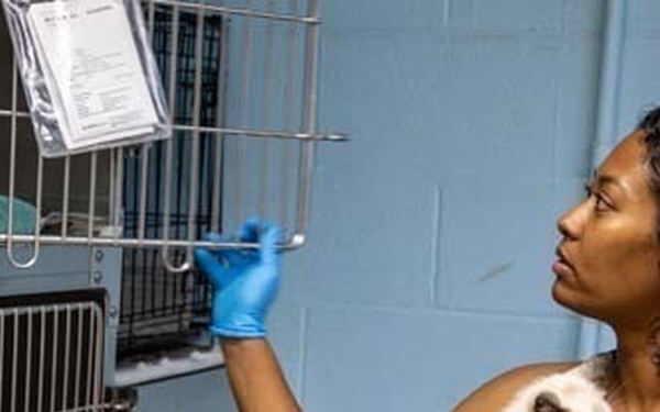 Service Members Volunteer with Carteret County Humane Society