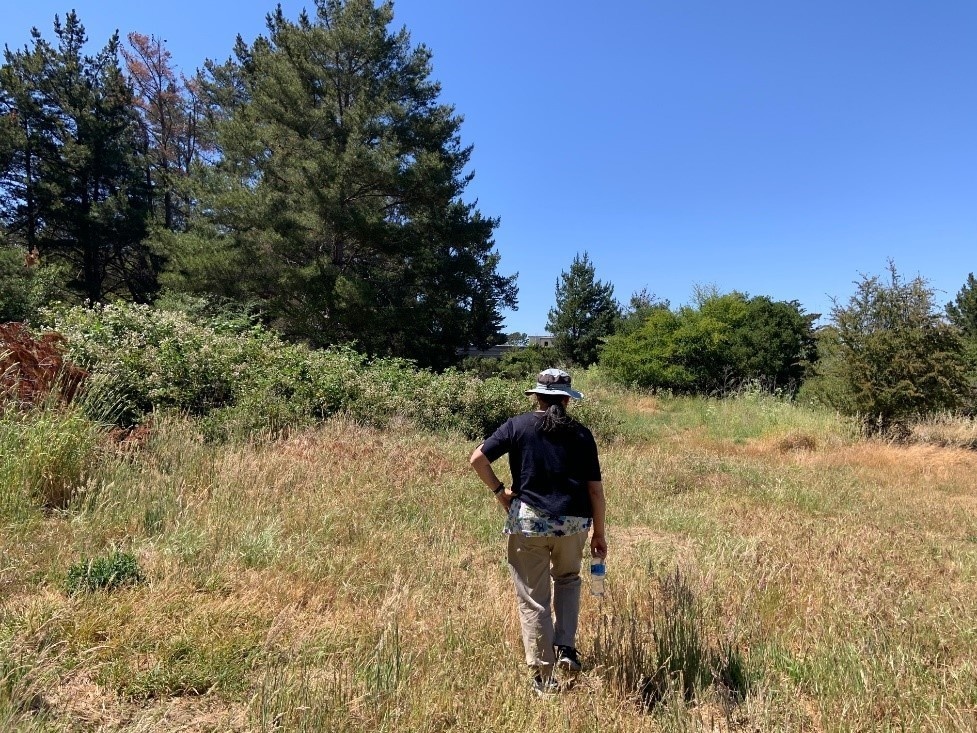 TRACEN Petaluma engineers walk grounds during inspection