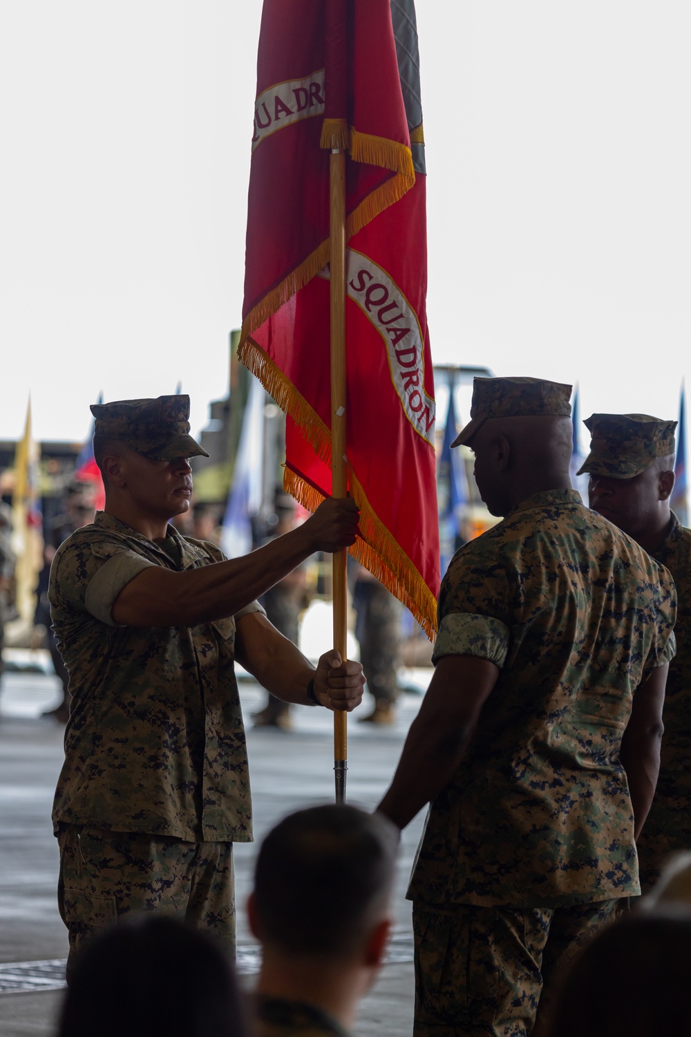 Marine Wing Support Squadron 171 Change Of Command