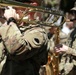 Illinois Army National Guard's 144th Army Band Celebrates Independence Day in Crystal Lake, IL