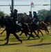 3rd Brigade Combat Team, 1st Cavalry Division Hosts Change of Command Ceremony