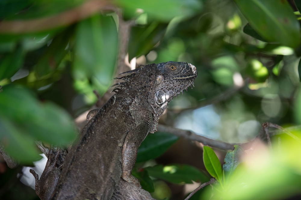 DVIDS Images NMCB14 repairs a fuel dock at NASKW. [Image 8 of 17]