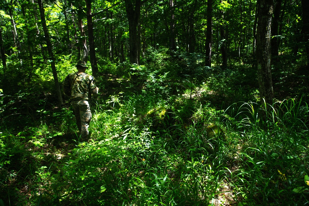 Shinka 22.1: Realistic Combat Training