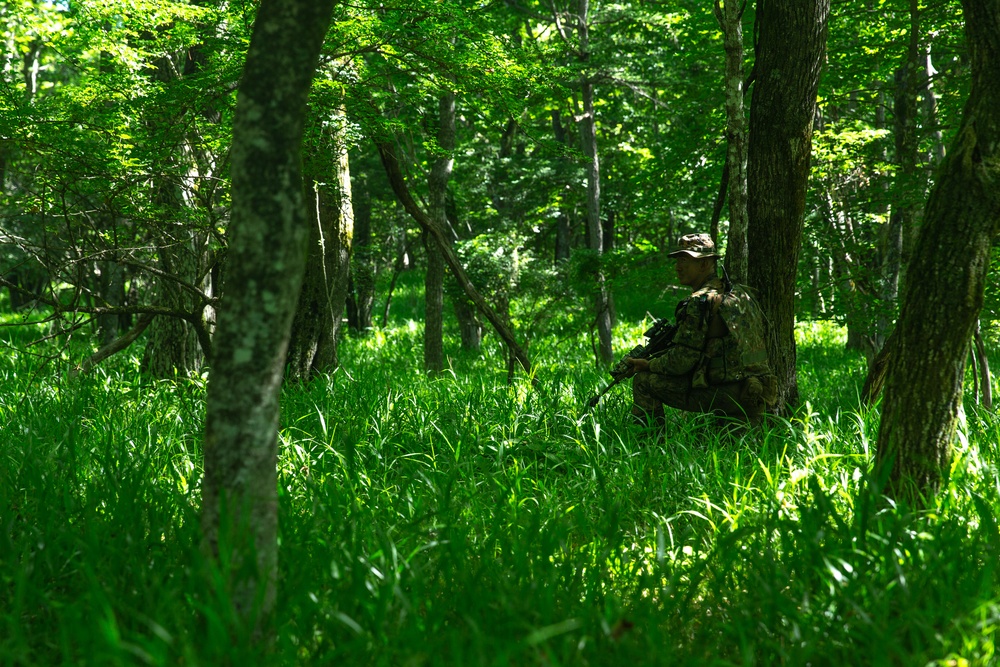 Shinka 22.1: Realistic Combat Training