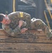 Air Assault Wall Climb