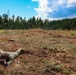 4-10 Cav Trains Scout Tactics To The Finnish army