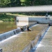 Harpersfield Dam Nappe Vibration Project