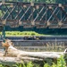 Harpersfield Dam Nappe Vibration Project