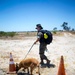 Dog handlers conduct detection training