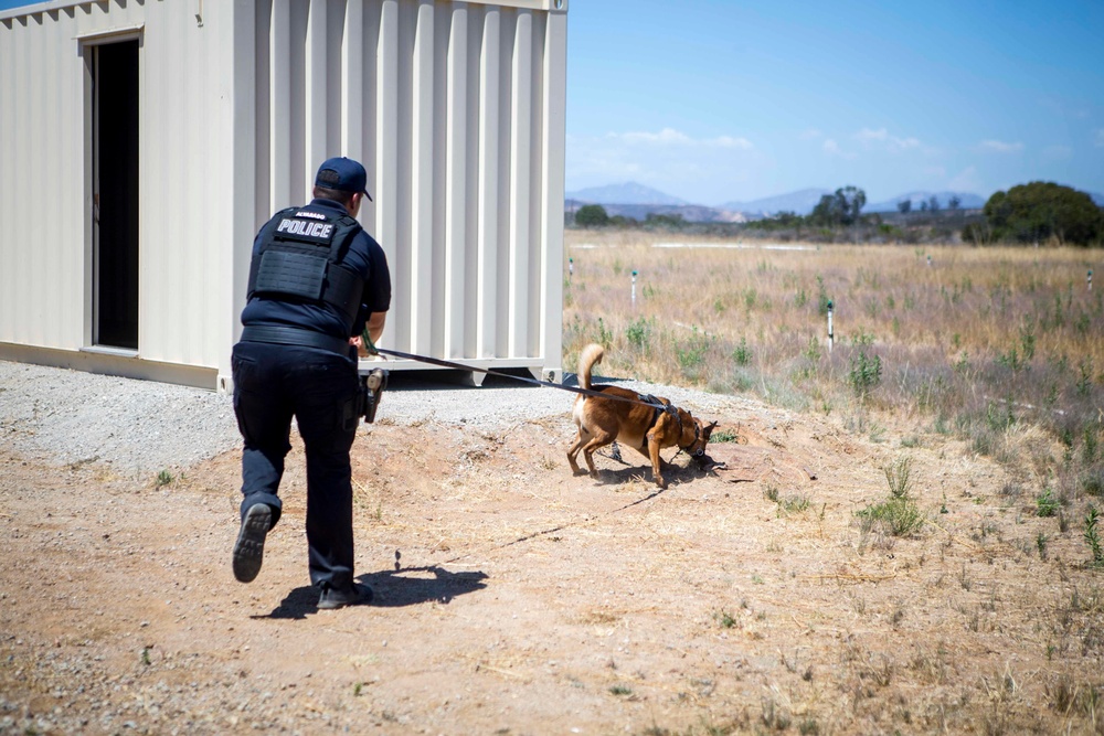 Dog handlers conduct detection training