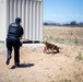 Dog handlers conduct detection training