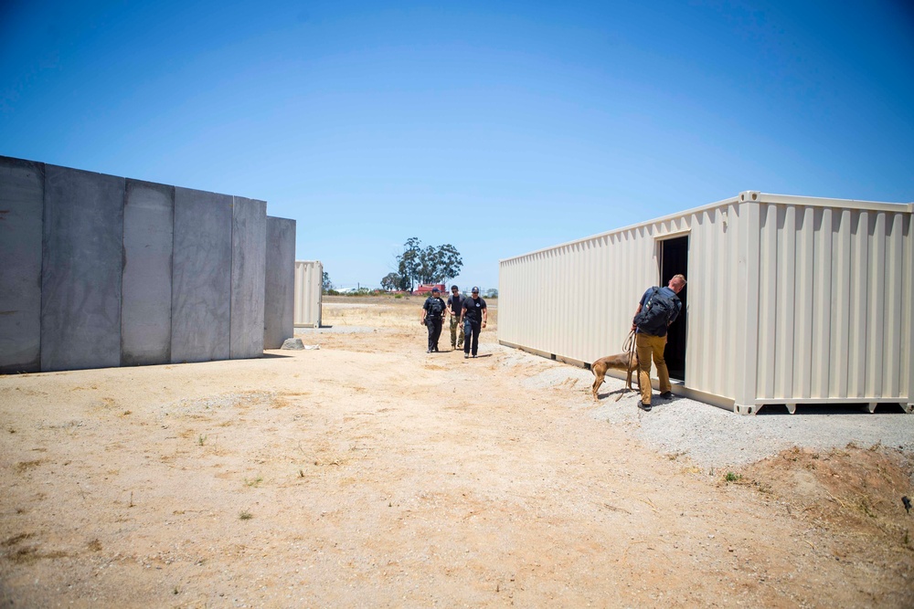 Dog handlers conduct detection training