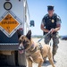 Dog handlers conduct detection training