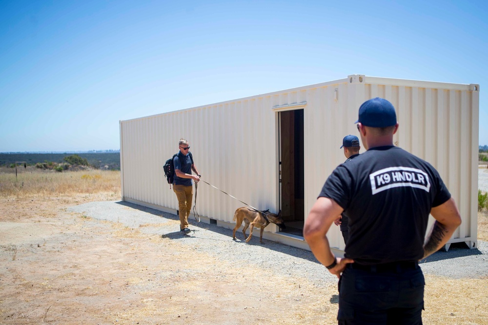 Dog handlers conduct detection training