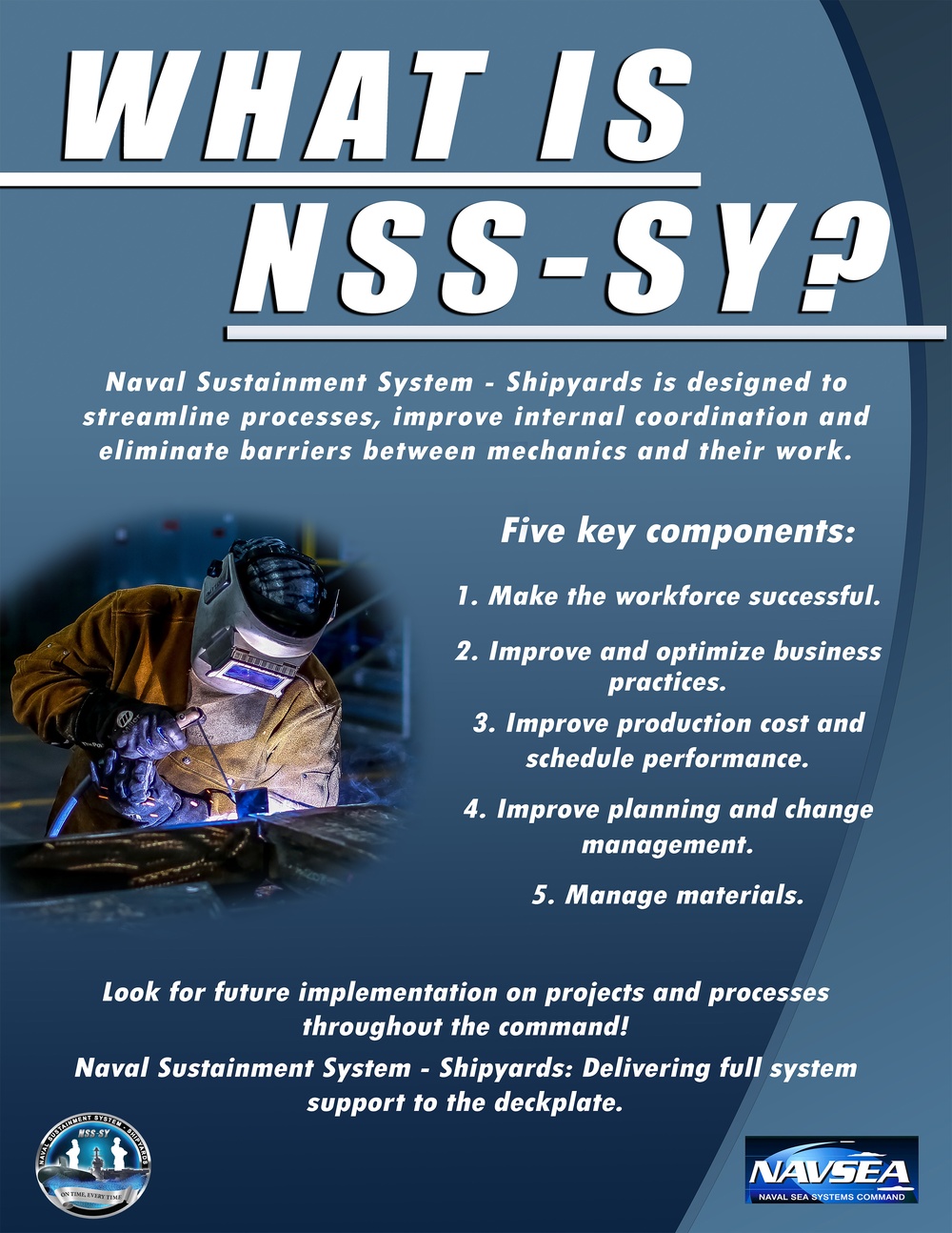What is NSS-SY?