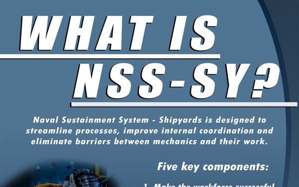 What is NSS-SY?