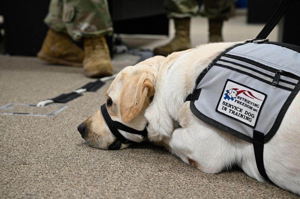 Service dogs in-training visit Whiteman AFB