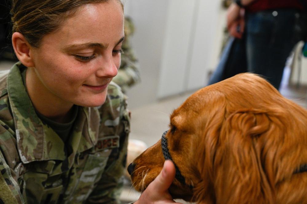 Service dogs in-training visit Whiteman AFB