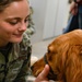 Service dogs in-training visit Whiteman AFB