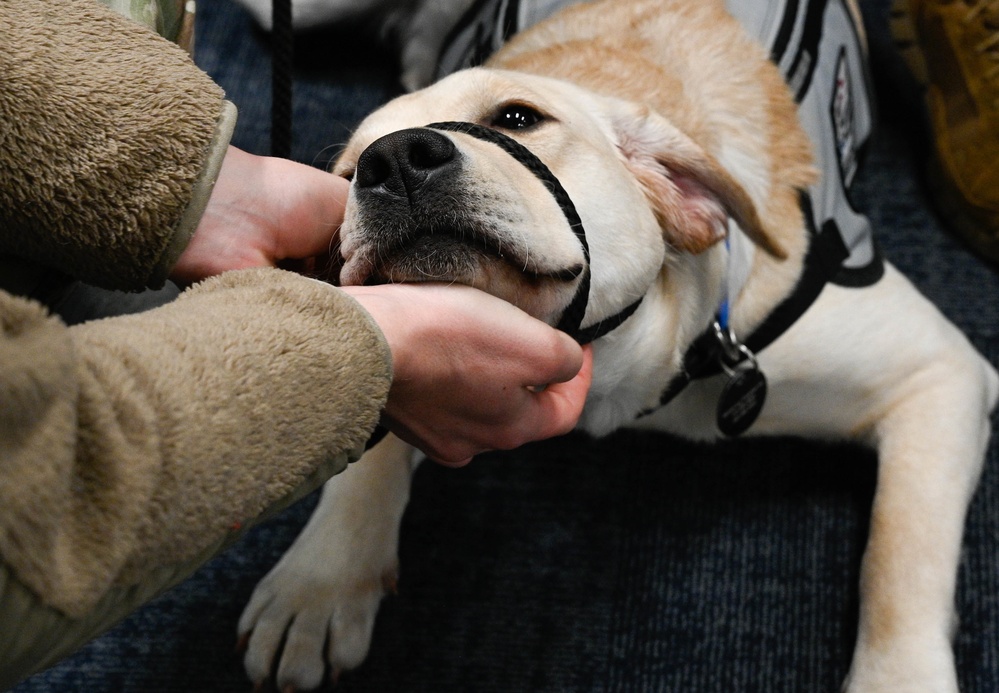 Service dogs in-training visit Whiteman AFB