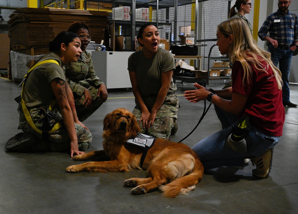 Service dogs in-training visit Whiteman AFB