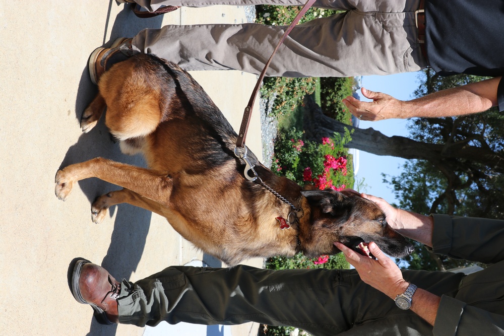 Military Working Dog Awarded NAM