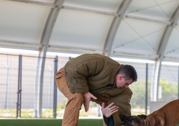 Mac and Gudger: Defending Tyndall