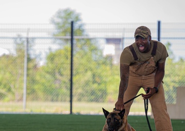 Mac and Gudger: Defending Tyndall