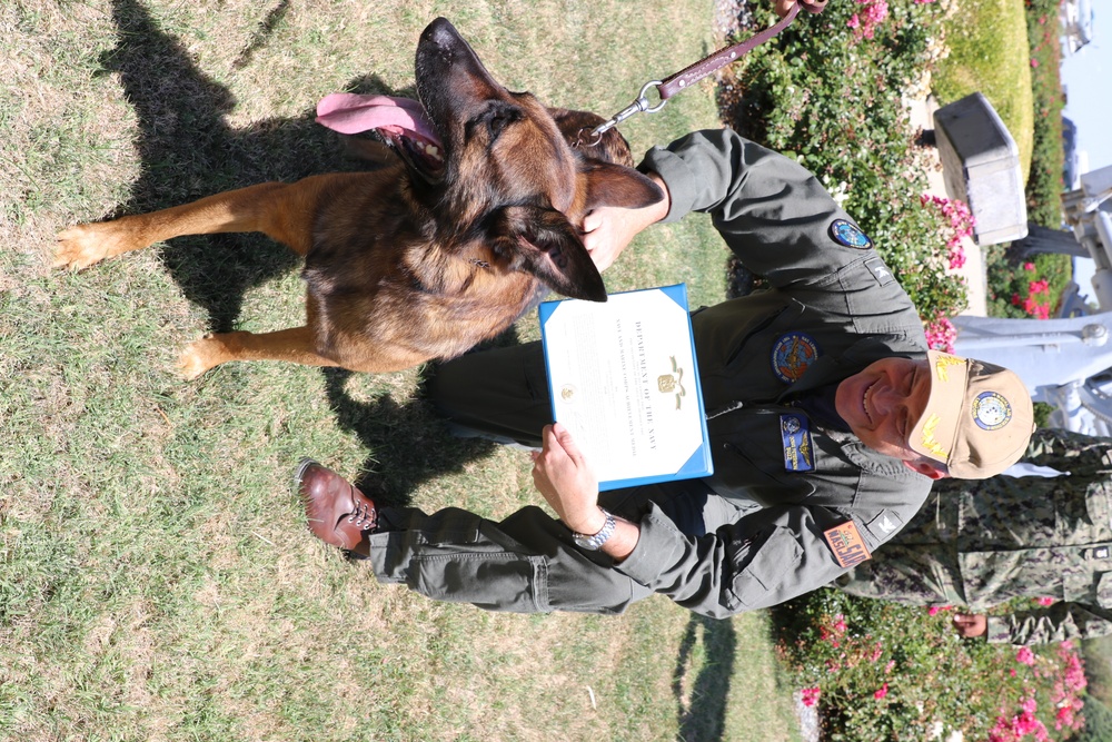 NAS Lemoore Military Working Dog was awarded the Navy and Marine Corps Achievement Medal