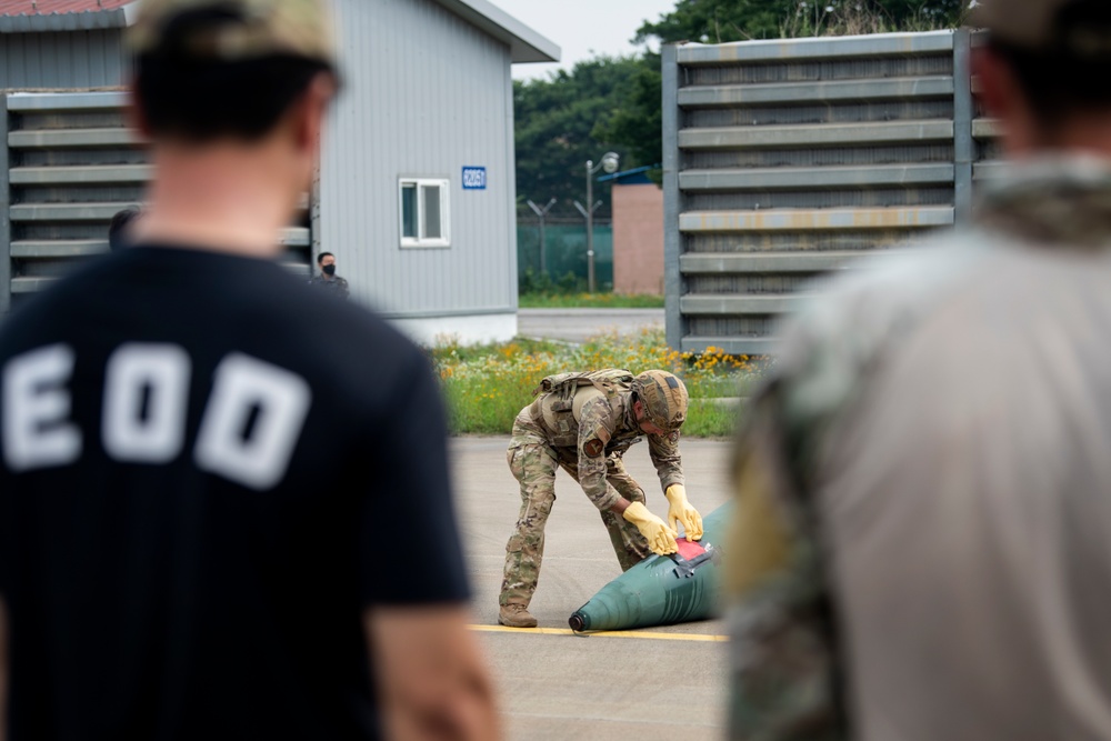 DVIDS - Images - Misawa EOD members conduct bilateral training with ...