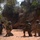 Kenya Joint Combined Exchange Training Kenya Joint Combined Exchange Training
