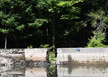 Fort Drum PW team rebuilds dam in the Historic LeRay Mansion District