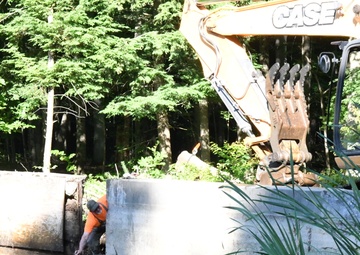 Fort Drum PW team rebuilds dam in the Historic LeRay Mansion District