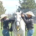 Sergeant major retires his saddle