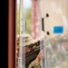 Urban Close Combat Training RIMPAC 2022