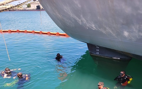 French and Canadian Divers Work Together