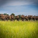 Marines with Guard Company conduct security forces training and sharpen infantry skills at Marine Corps Base Quantico, Va.