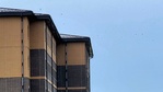 Image 20: Troops stay at recently completed transient troops training barracks at Fort McCoy